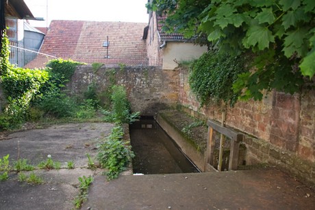 Bad Bergzabern
